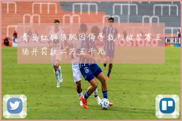 青岛红狮领队因侮辱裁判被禁赛五场并罚款二万五千元